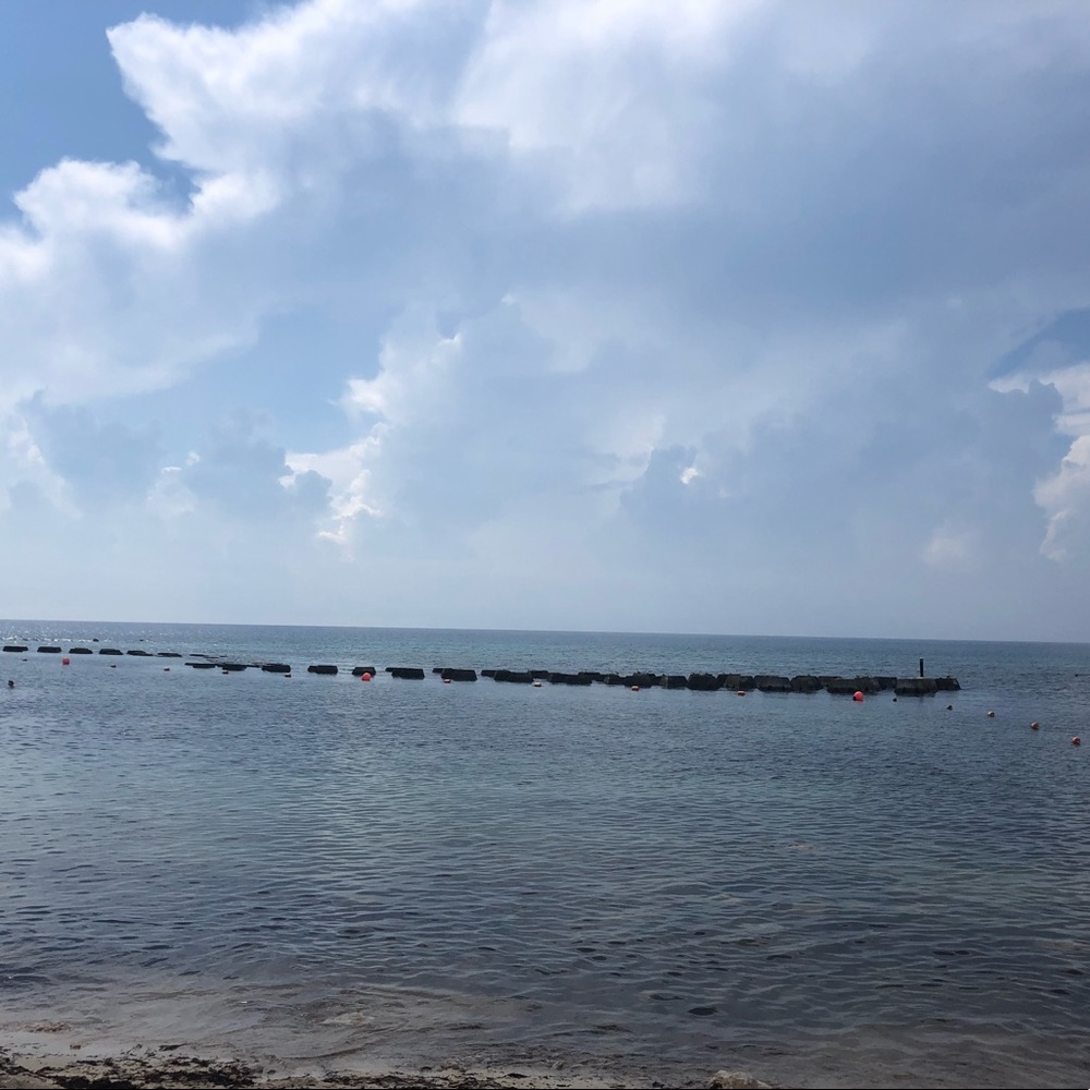 Meet your Posher, Shirley